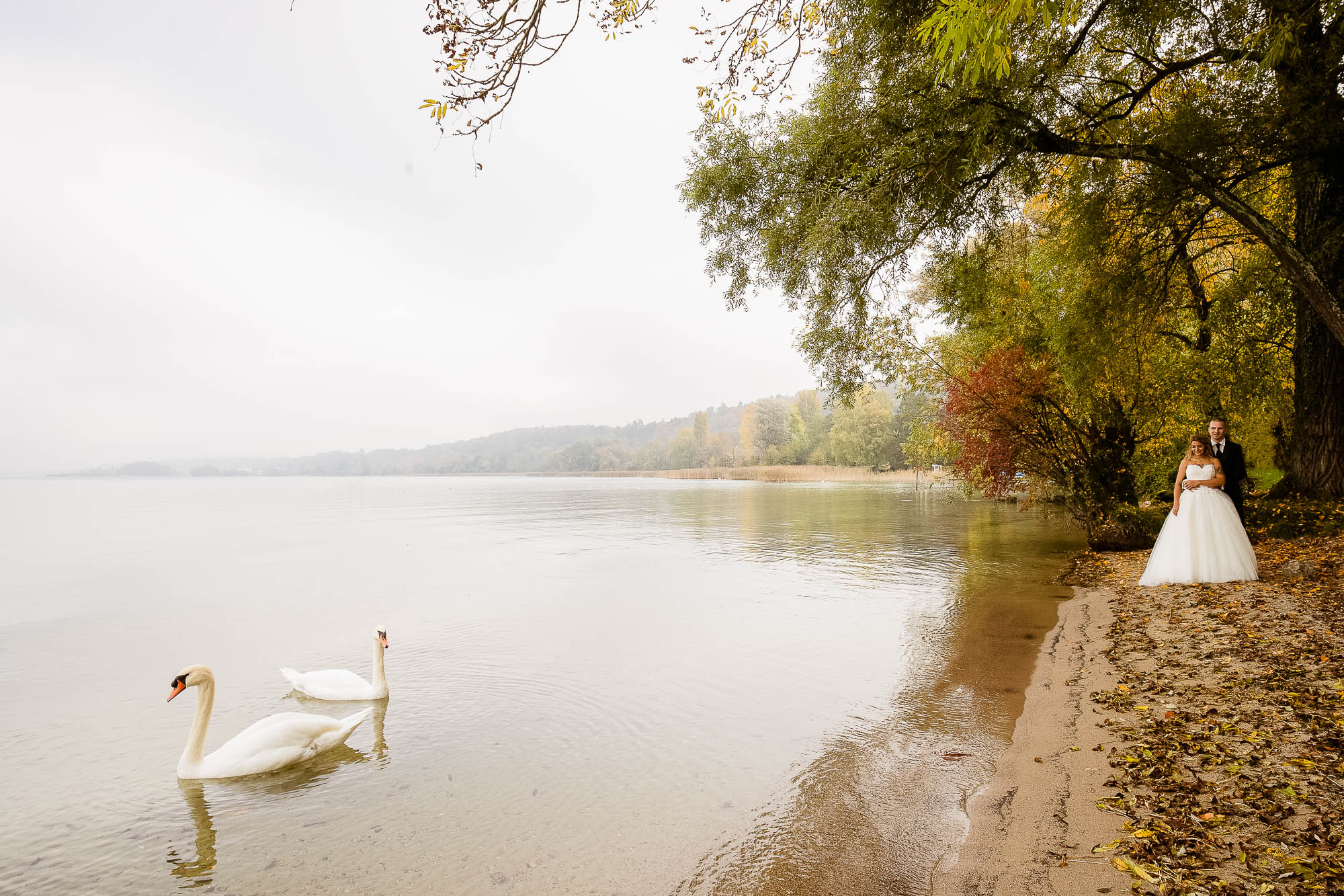 Export x3 1DX26327 Bearbeitet Hochzeit 2019 Tatjana und Hermann 2